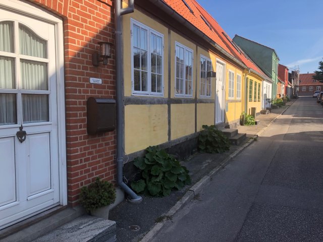 Løvfaldstræf Møn 2021